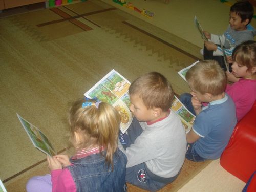 Grafika #63: Tutaj rosły paprocie