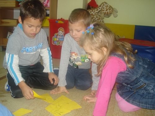 Grafika #14: Tutaj rosły paprocie