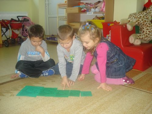 Grafika #27: Tutaj rosły paprocie