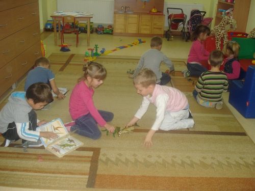 Grafika #40: Tutaj rosły paprocie