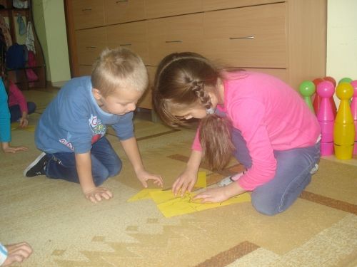 Grafika #16: Tutaj rosły paprocie