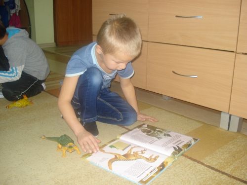 Grafika #41: Tutaj rosły paprocie