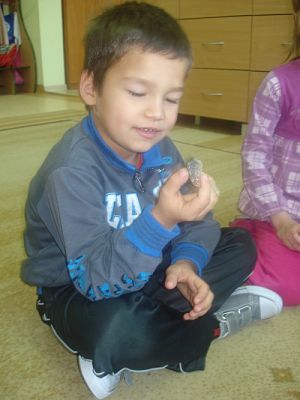 Grafika #67: Tutaj rosły paprocie