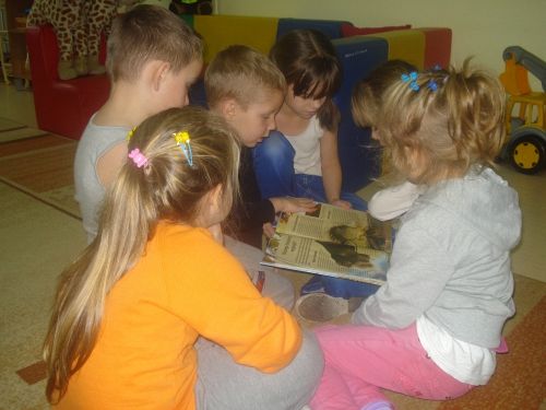 Grafika #0: Tutaj rosły paprocie