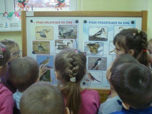 Grafika #7: Zwierzęta są głodne