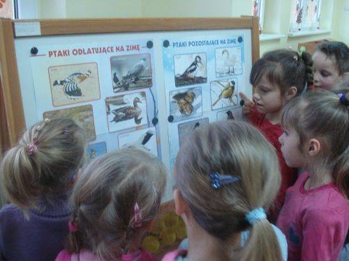 Grafika #8: Zwierzęta są głodne