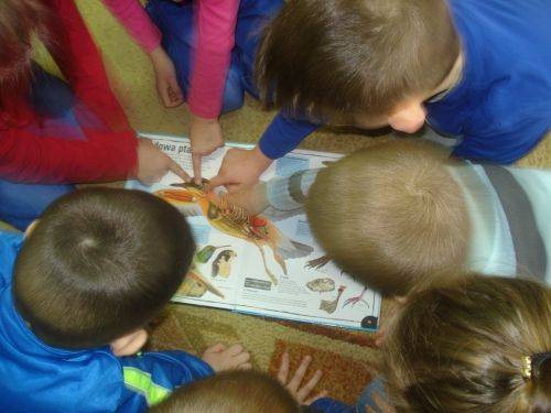 Grafika #4: Zwierzęta są głodne