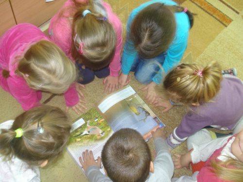 Grafika #2: Zwierzęta są głodne