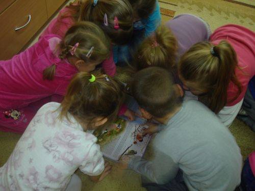 Grafika #1: Zwierzęta są głodne