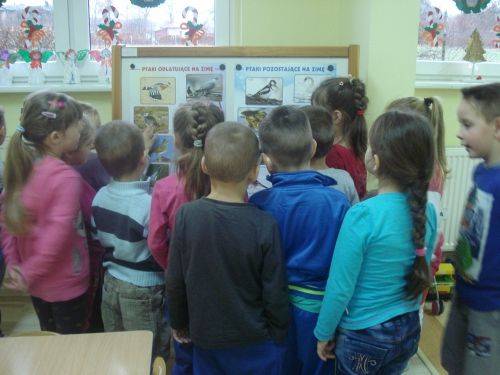 Grafika #6: Zwierzęta są głodne