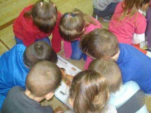 Grafika #3: Zwierzęta są głodne