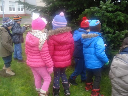 Grafika #56: Zwierzęta są głodne