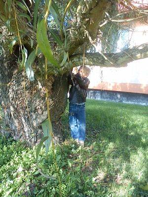 Grafika #17: Co robią zwierzęta jesienią?