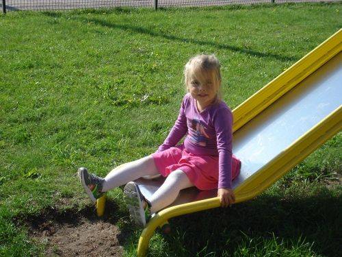 Grafika #20: Co robią zwierzęta jesienią?