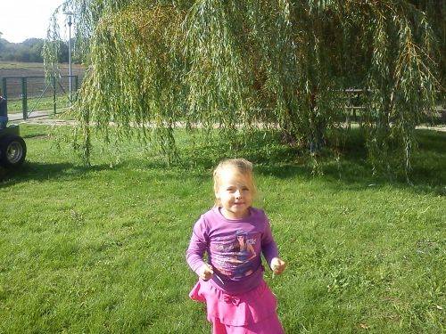 Grafika #16: Co robią zwierzęta jesienią?