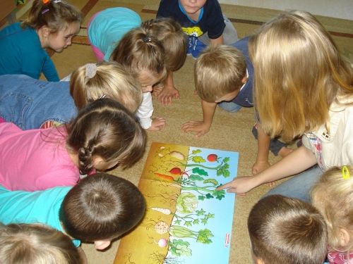 Grafika #11: Jesień na działce