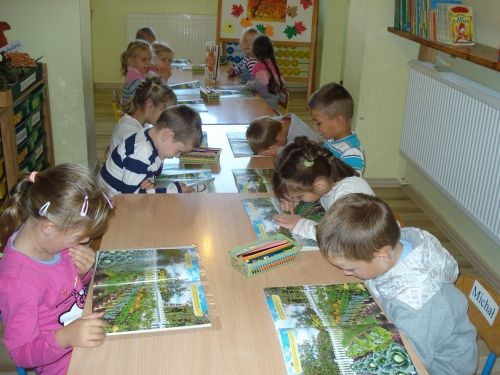 Grafika #3: Jesień na działce