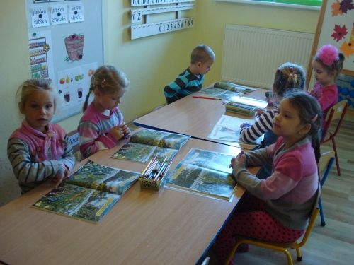 Grafika #4: Jesień na działce