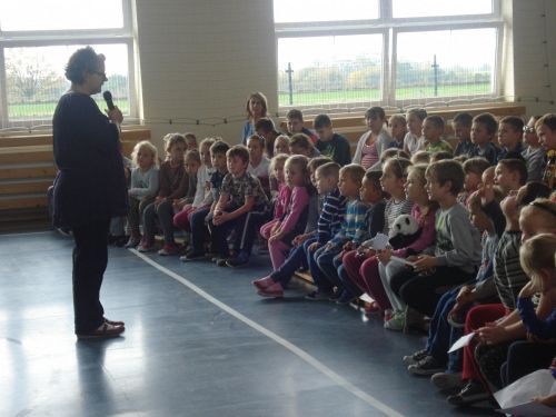 Grafika #39: Jesień na działce