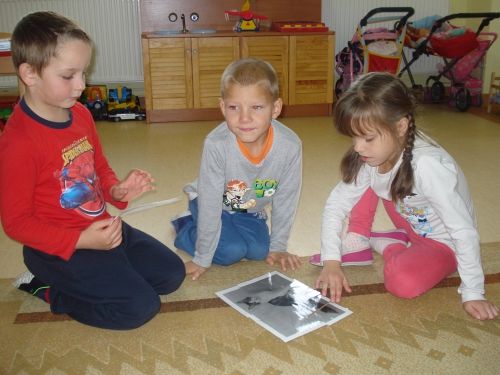 Grafika #25: Moje domowe zwierzątko