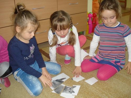 Grafika #19: Moje domowe zwierzątko