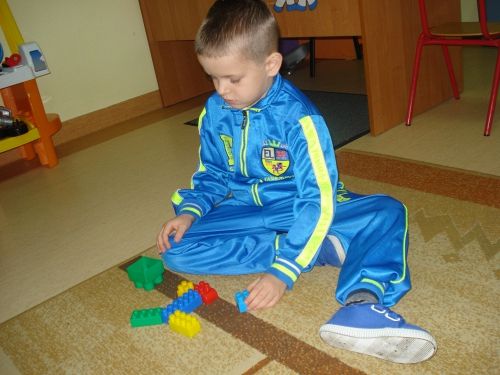 Grafika #97: Moje domowe zwierzątko