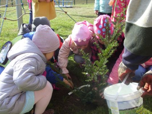 Grafika #3: Dzień Drzewa