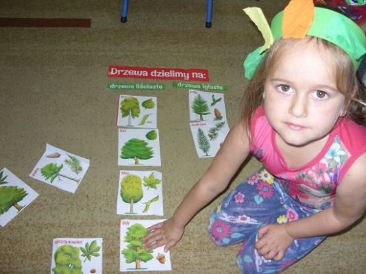 Grafika #1: Dzień Drzewa