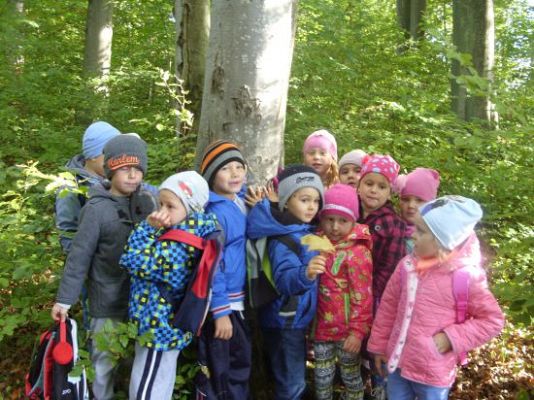 Grafika #0: Dzień Drzewa