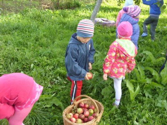 Grafika #1: "Jesienią, jesienią sady sie rumienią"
