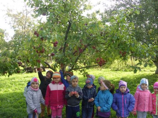 Grafika #0: "Jesienią, jesienią sady sie rumienią"