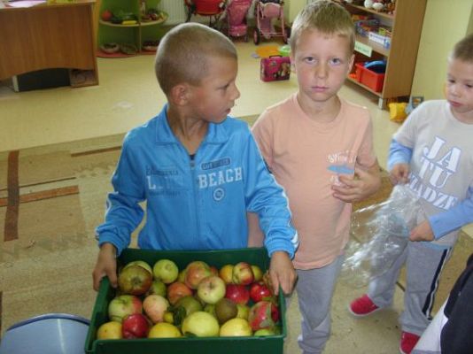 Grafika #3: Jabłko, gruszka czy pietruszka ?