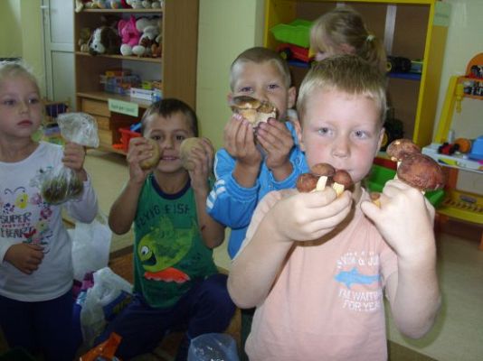 Grafika #4: Jabłko, gruszka czy pietruszka ?