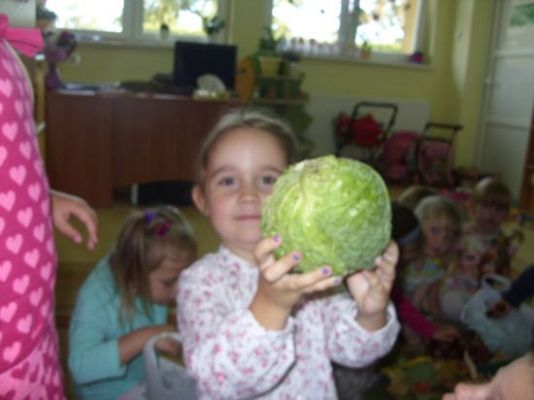 Grafika #1: Jabłko, gruszka czy pietruszka ?