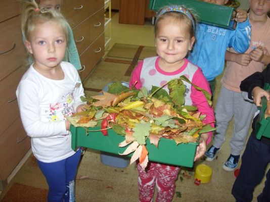 Grafika #2: Jabłko, gruszka czy pietruszka ?