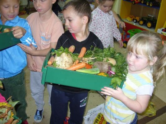 Grafika #0: Jabłko, gruszka czy pietruszka ?