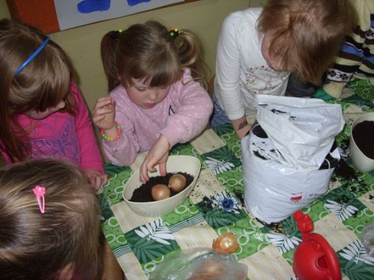 Grafika #5: Zielony ogródek w przedszkolu