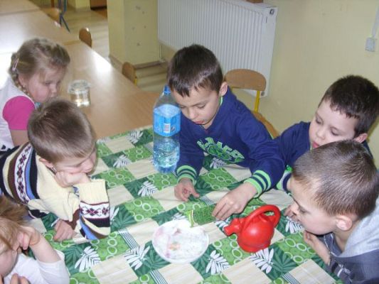 Grafika #2: Zielony ogródek w przedszkolu