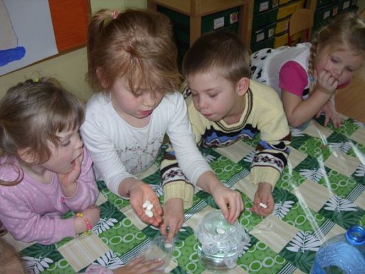 Grafika #1: Zielony ogródek w przedszkolu