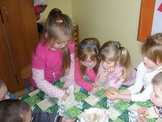 Grafika #3: Zielony ogródek w przedszkolu