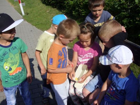 Grafika #2: Zabawa w podchody