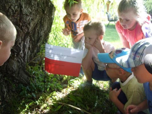 Grafika #3: Zabawa w podchody