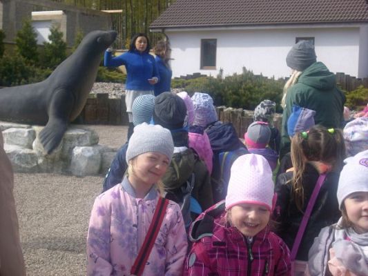 Grafika #1: WYCIECZKA DO SEA PARK