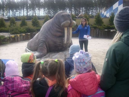 Grafika #3: WYCIECZKA DO SEA PARK