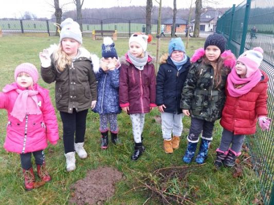 Grafika #0: Początek stycznia pod znakiem ptaszków