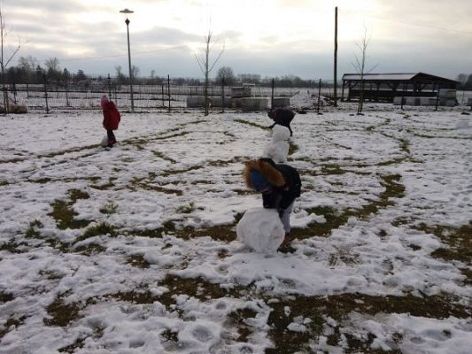 Grafika #1: Pierwszy śnieg = pierwsze bałwany