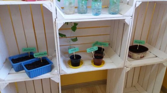 Grafika #11: Kącik przyrody w oddziale przedszkolnym