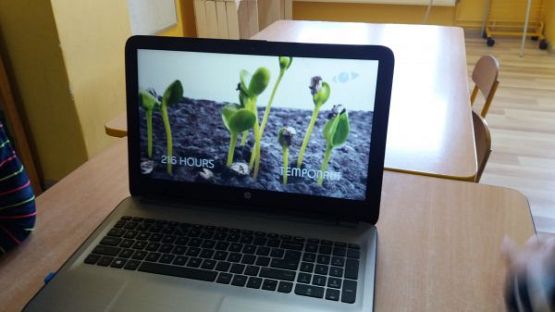 Grafika #5: Kącik przyrody w oddziale przedszkolnym