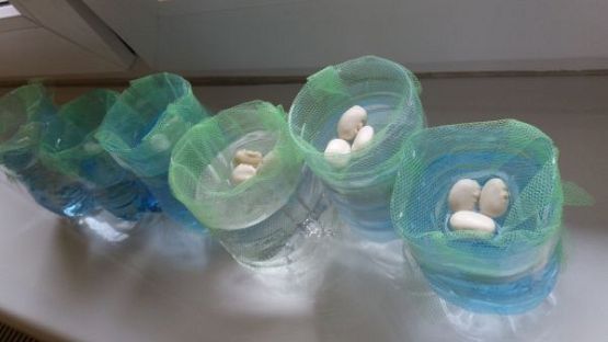 Grafika #1: Kącik przyrody w oddziale przedszkolnym