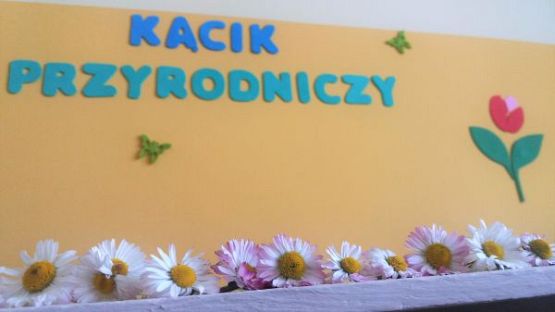 Grafika #14: Kącik przyrody w oddziale przedszkolnym